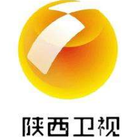 陕西卫视在线直播
